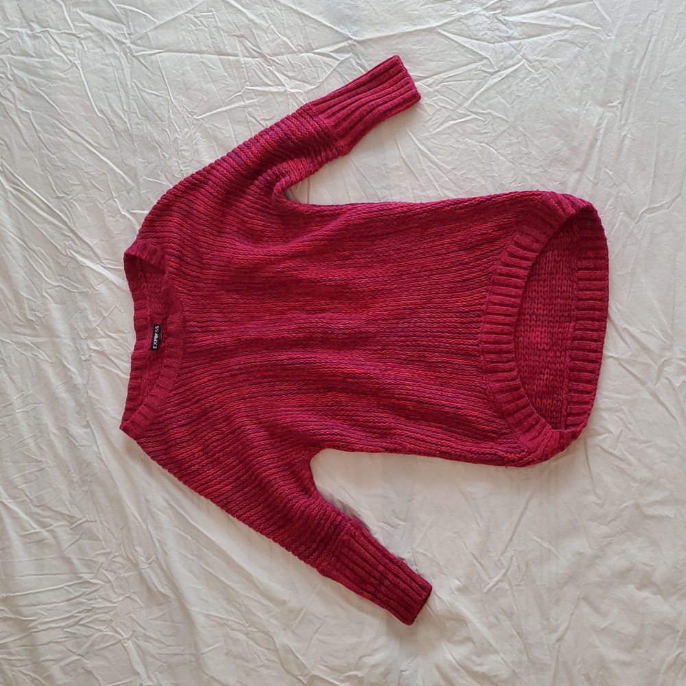 Express Women's Berry Knit Sweater